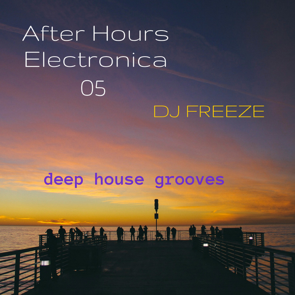 After Hours Electronica 05 \\ mixed by Freeze | deep house