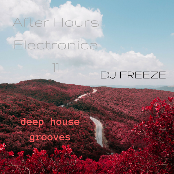 After Hours Electronica 11 \\ mixed by Freeze | deep house