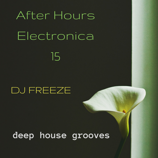 After Hours Electronica 15 \\ mixed by Freeze | deep house